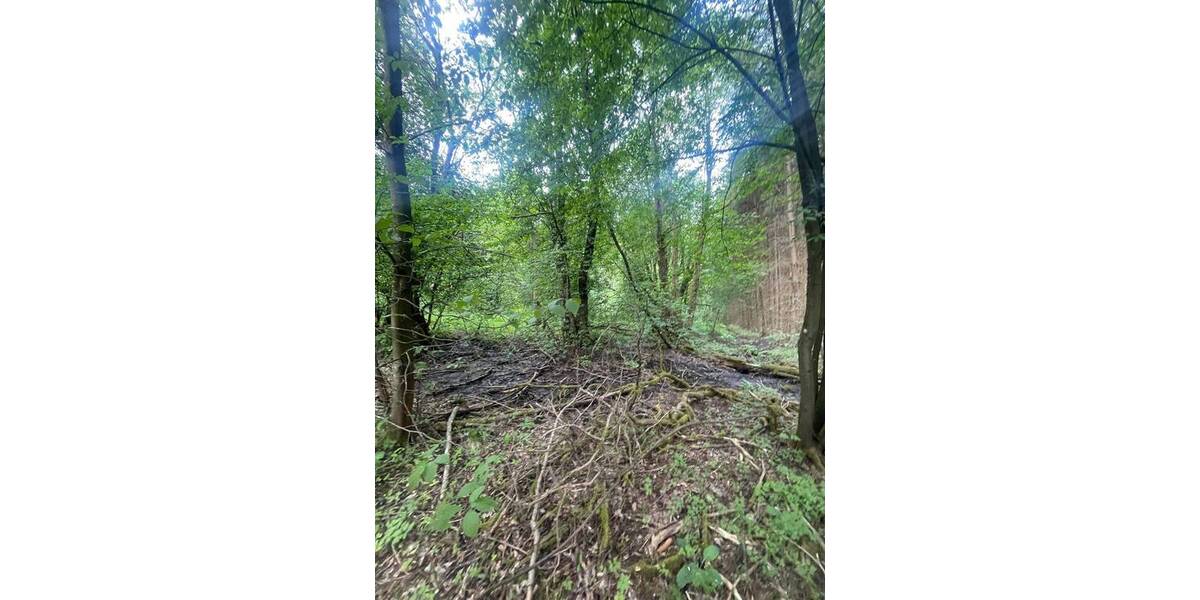 Grundstück Wildflecken Oberbach - 10.000&euro; | Angebot:25696672