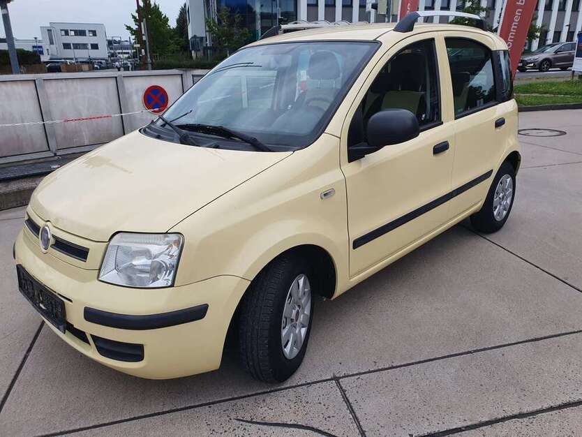 Panda
