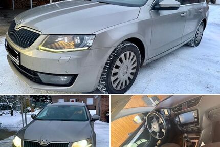 Skoda Octavia 154.000 km 9.999 &euro; Pampow 19075