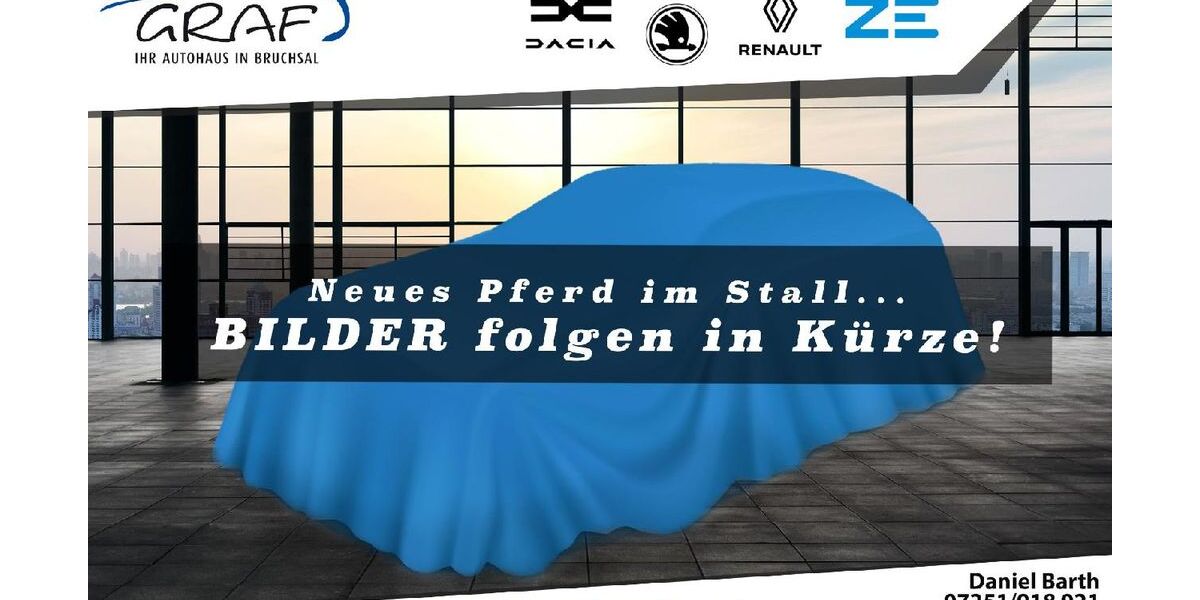 Renault ZOE 51.500 km 12.990 &euro; Bruchsal 76646