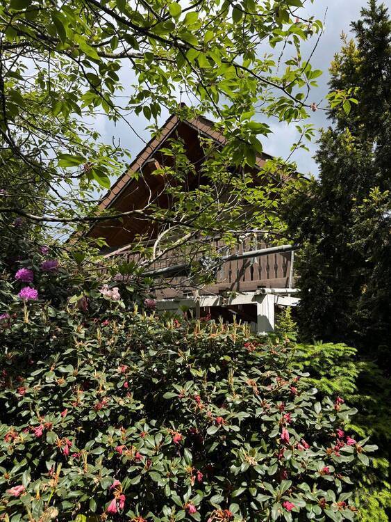 Handwerker aufgepasst! Noch fertigzustellendes Haus im Grünen nebst Baumaterial