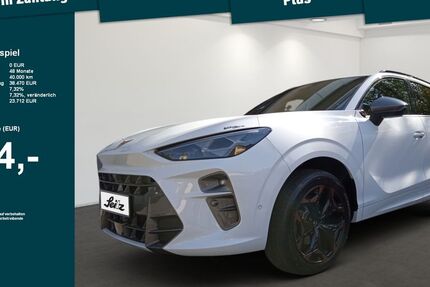 Cupra Terramar 18.000 km 37.670 &euro; Lindenberg 88161