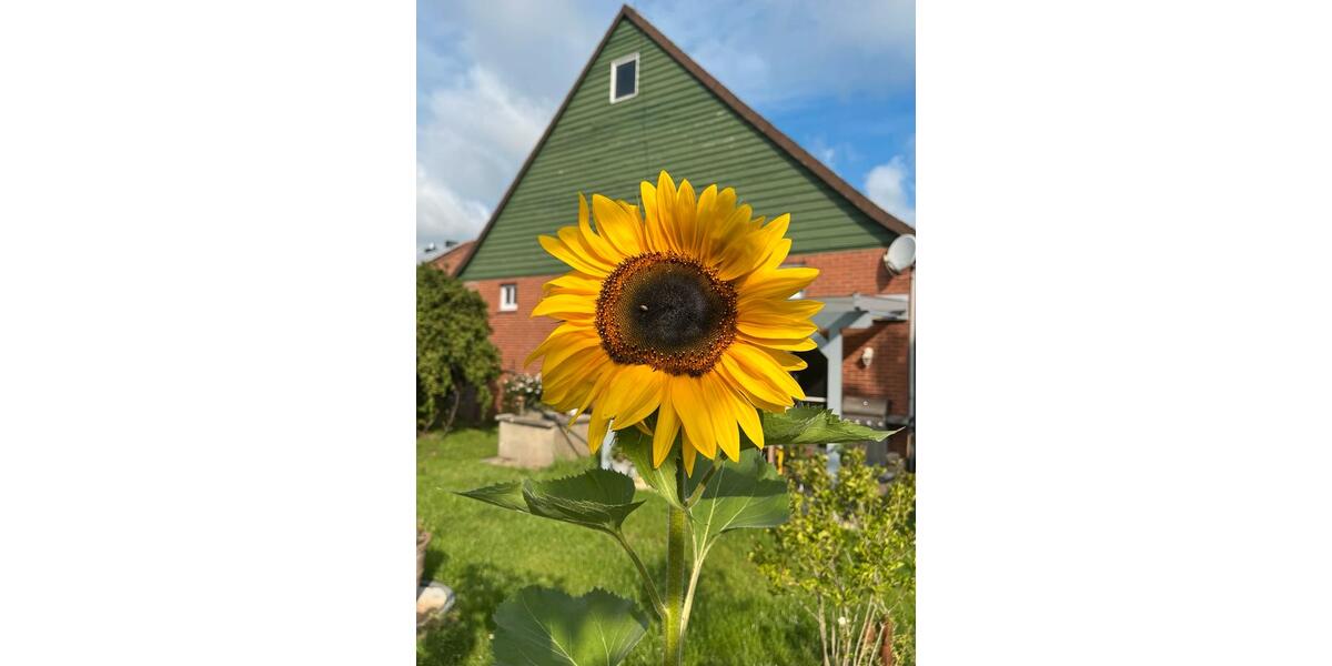 Bauernhaus, Landhaus Melle Bruchmühlen - 6 Zimmer, 150 m&sup2;, 650.000&euro; | Angebot:25839983