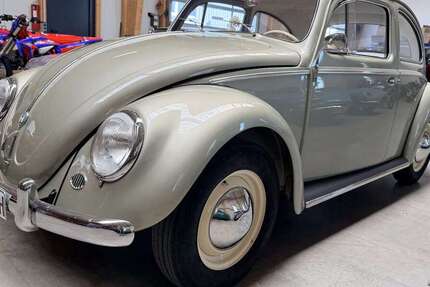 VW Käfer 103.049 km 36.800 &euro; Fuchstal-Asch 86925