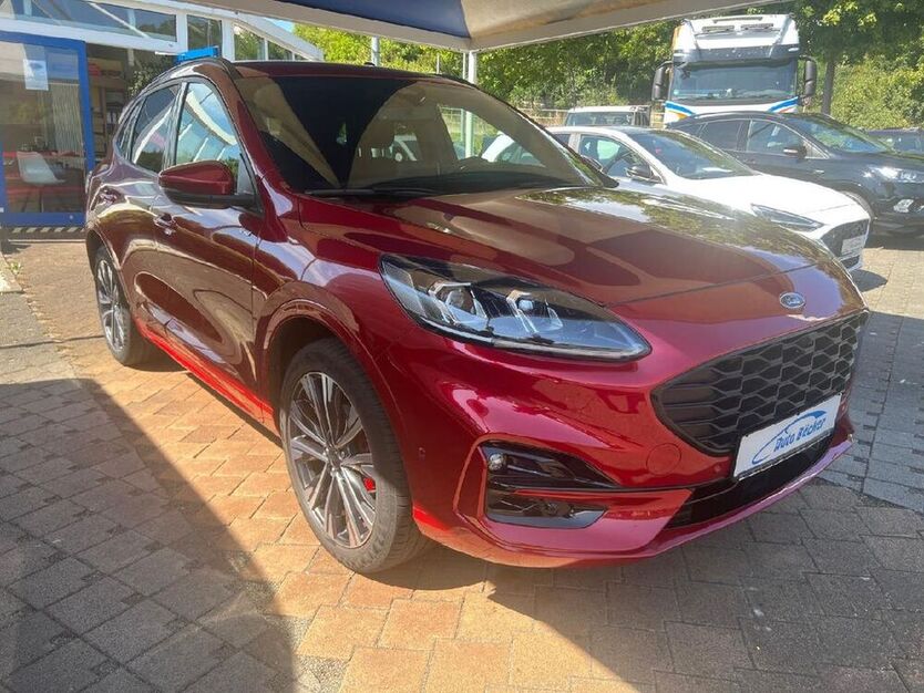 Kuga