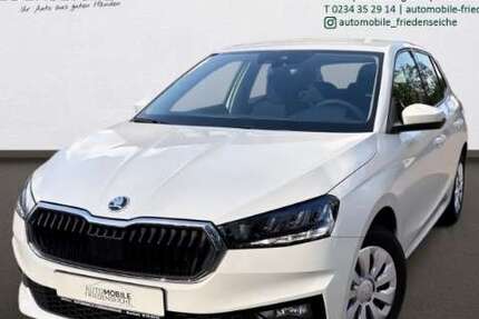 Skoda Fabia 8.764 km 15.690 &euro; Bochum 44805