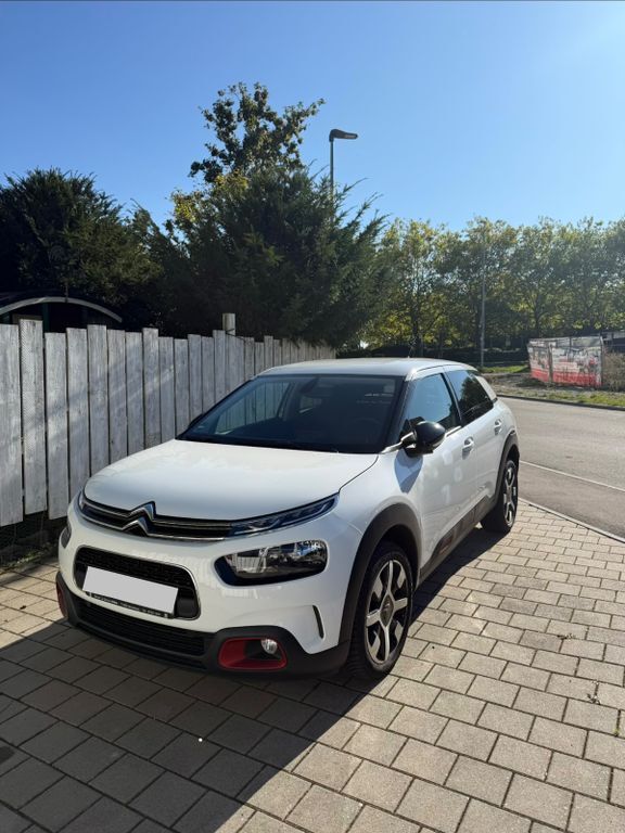 C4 Cactus