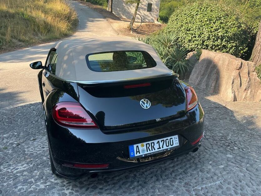 Beetle