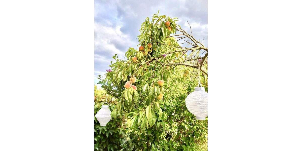 Reihenendhaus Mühltal Trautheim - 4 Zimmer, 110 m&sup2;, 585.000&euro; | Angebot:25736903