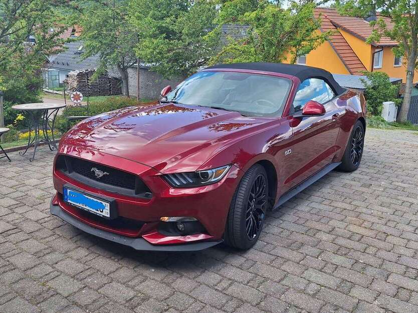 Mustang