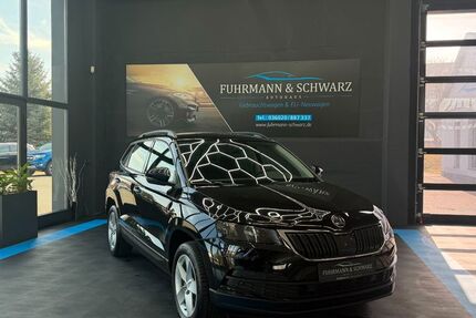 Skoda Karoq 82.500 km 19.410 &euro; Ebeleben 99713