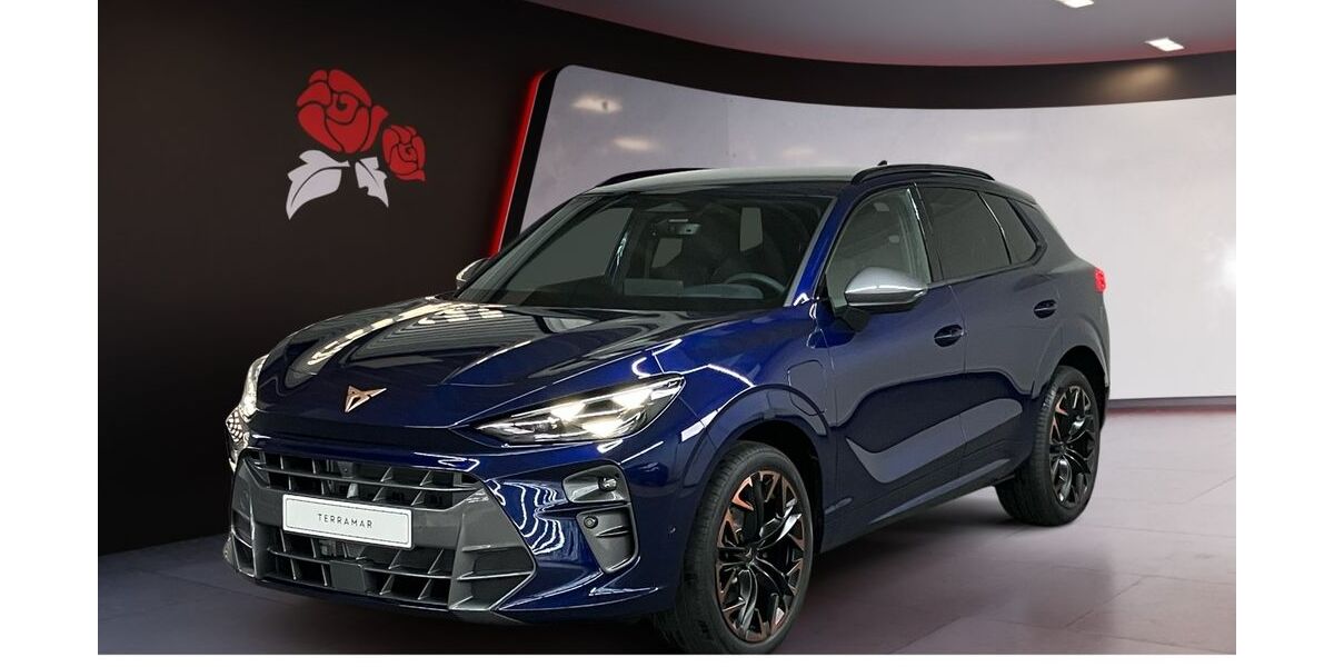 Cupra Terramar 10.000 km 47.490 € Zimmern ob Rottweil 78658