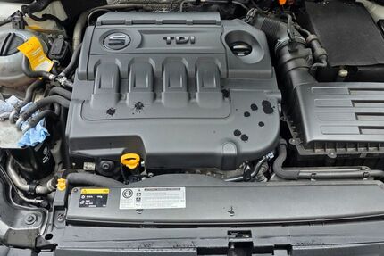 Seat Leon 209.000 km 8.900 &euro; Oberkail 54533