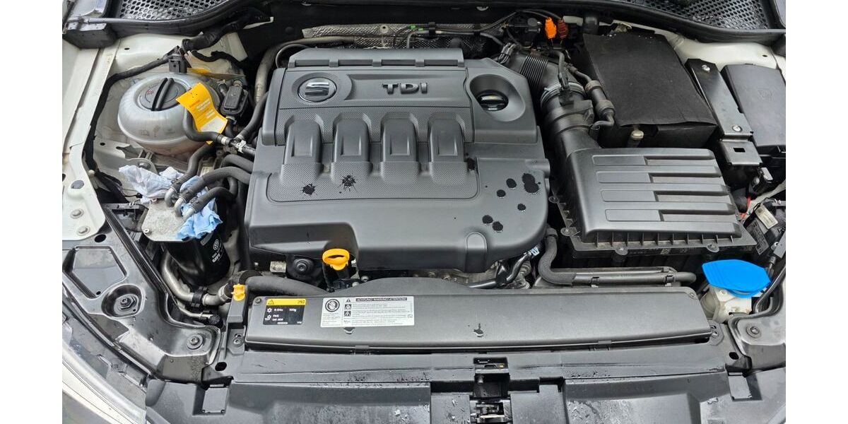 Seat Leon 209.000 km 8.900 &euro; Oberkail 54533