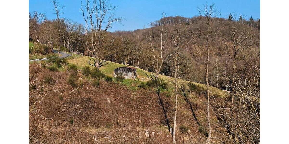 Grundstück Reichshof - 33.333&euro; | Angebot:25764344