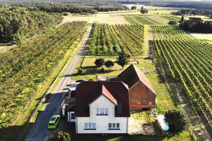 Haus Jessen (Elster) - 5 Zimmer, 129 m&sup2;, 349.000&euro; | Angebot:26898399