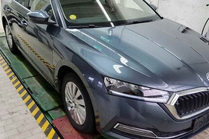 Skoda Octavia 137.000 km 18.963 &euro; Bad Lippspringe 33175