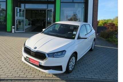 Skoda Fabia 18.132 km 14.890 € Zwickau 08056