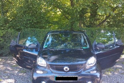 Smart ForTwo 66.500 km 8.600 &euro; Baden-Baden 76532
