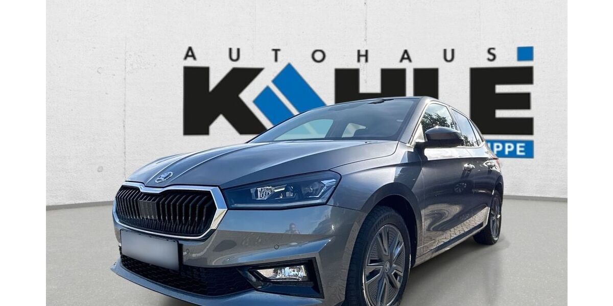 Skoda Fabia 5.000 km 22.950 € Walsrode 29664