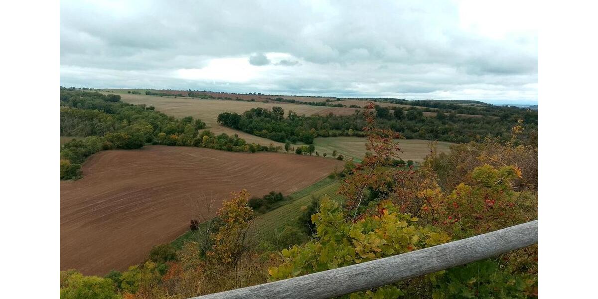 Mehrfamilienhaus, Wohnhaus Bad Bibra - 4 Zimmer, 90 m&sup2;, 500&euro; | Angebot:25791423