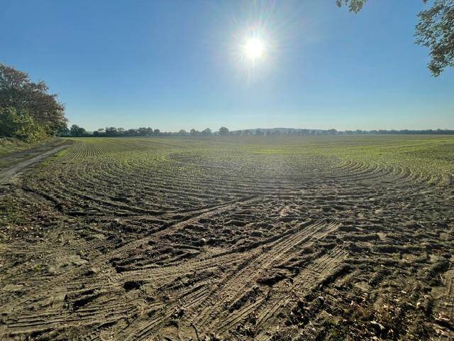 Grundstück Altlandsberg Fasanenpark - 1.190.000&euro; | Angebot:25775806