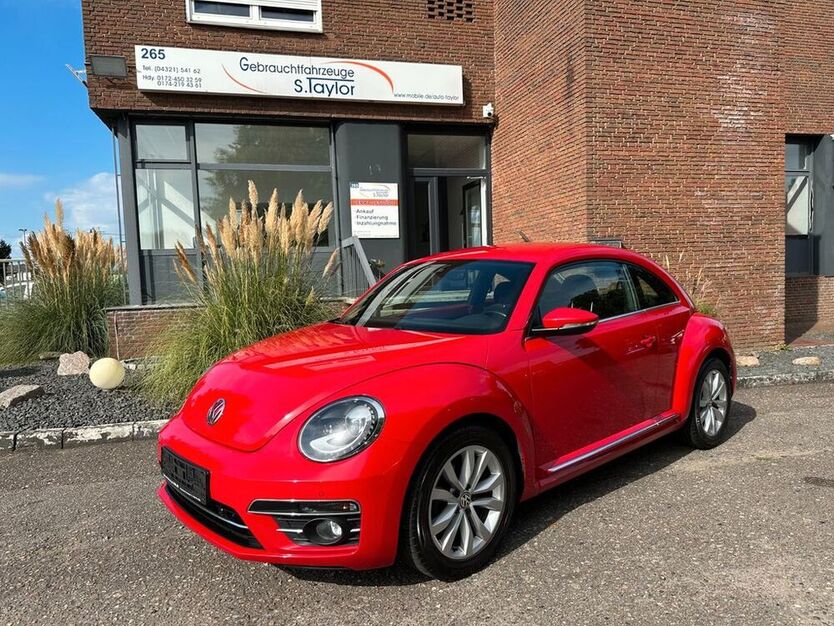 Beetle