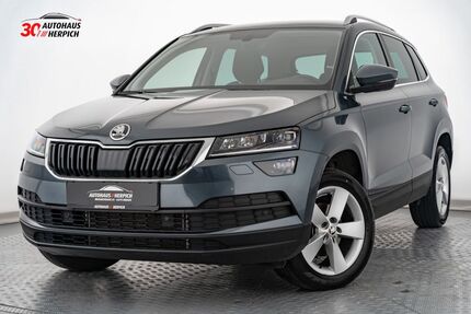 Skoda Karoq 24.704 km 26.990 &euro; Erbach 64711