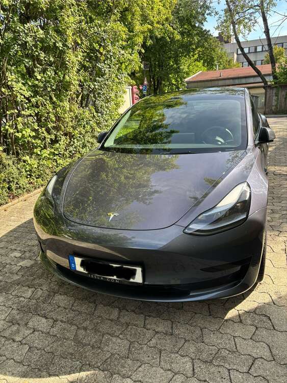 Model 3