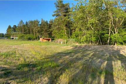 Grundstück zu verkaufen in Neuhardenberg 75.000 € 2700 m² zimmer