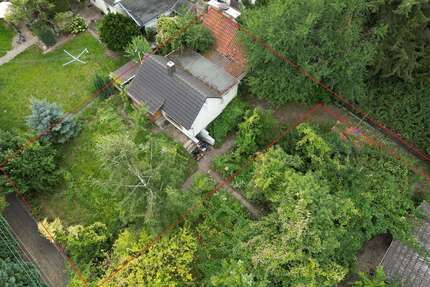 Grundstück Braunschweig Westliches Ringgebiet - 44.900&euro; | Angebot:25328492