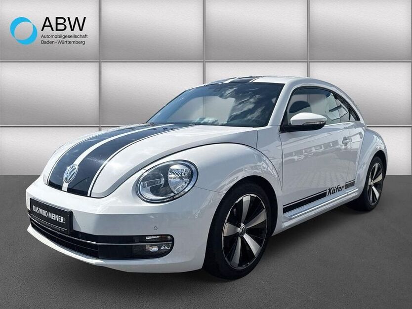 Beetle