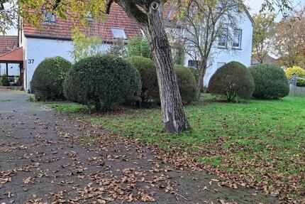 Grosse Landhauswohnung 200 Quadratmeter in Gütersloh Isselhorst 5 zimmer