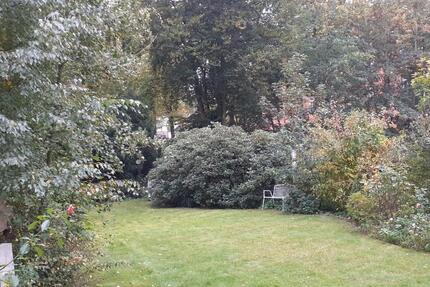 Wohnung Warendorf - 1 Zimmer, 35 m&sup2;, 400&euro; | Angebot:25044425