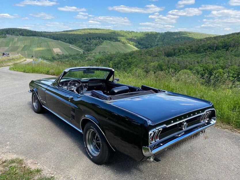 Mustang