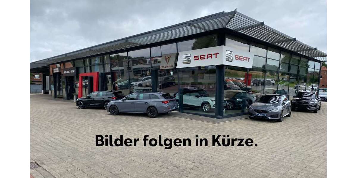 Seat Ibiza 114.500 km 9.900 &euro; Dülmen-Rorup 48249