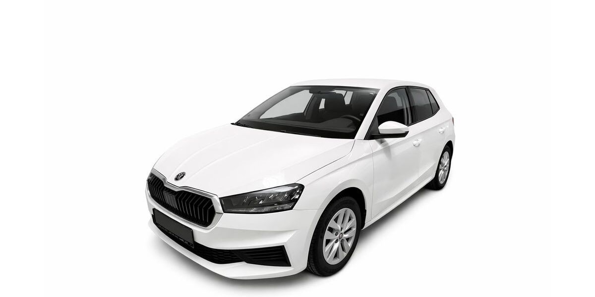 Skoda Fabia 92.650 km 14.200 &euro; Wardenburg 26203