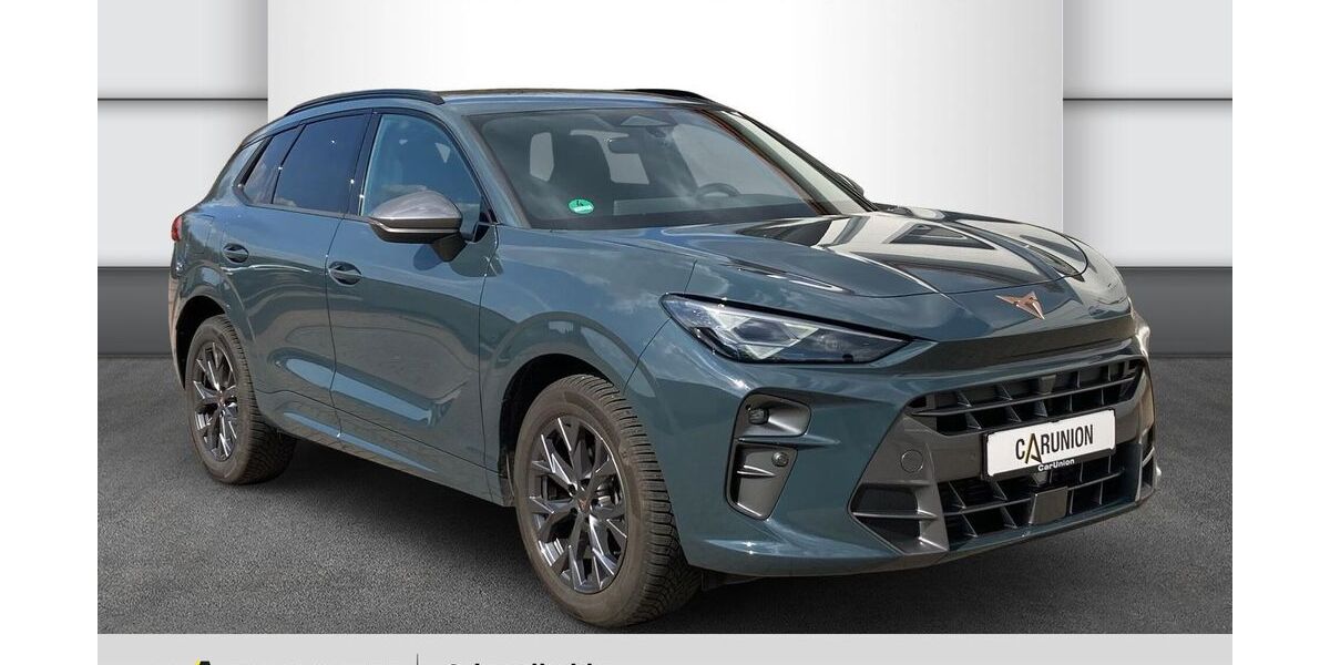 Cupra Terramar 10.900 km 38.490 &euro; Schmalkalden 98574