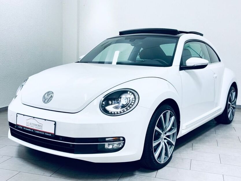 Beetle