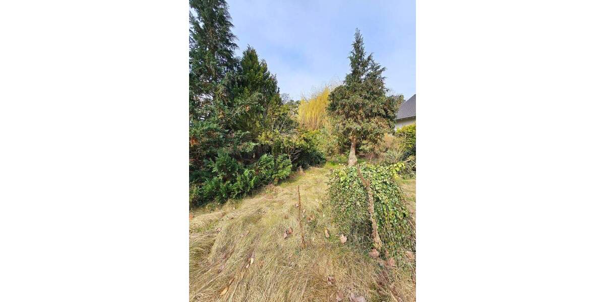 Grundstück Dessau-Roßlau Mosigkau - 45.000&euro; | Angebot:25834776