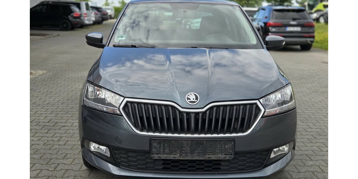 Skoda Fabia 1.0 TSI Car-Play/Android-Auto/Kamera 90.145 km 7.950 &euro; Wilsdruff 01723