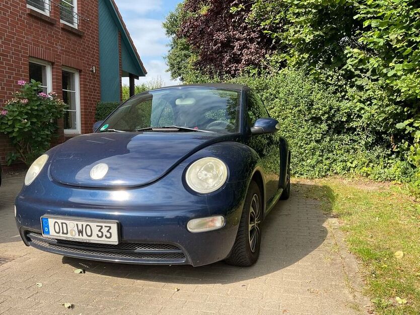 Beetle