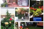 Einfamilienhaus Wesendorf - 3 Zimmer, 40 m&sup2;, 65.111&euro; | Angebot:26238076