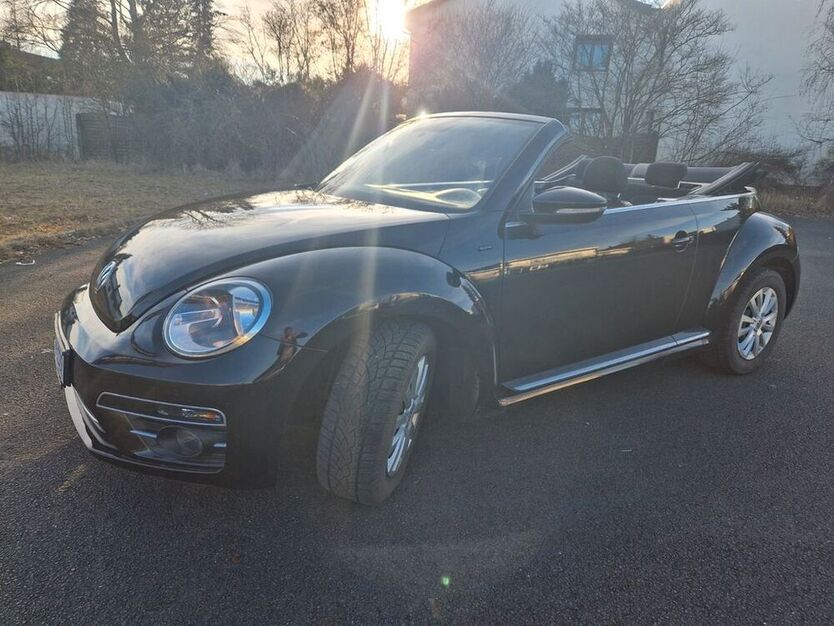 Beetle