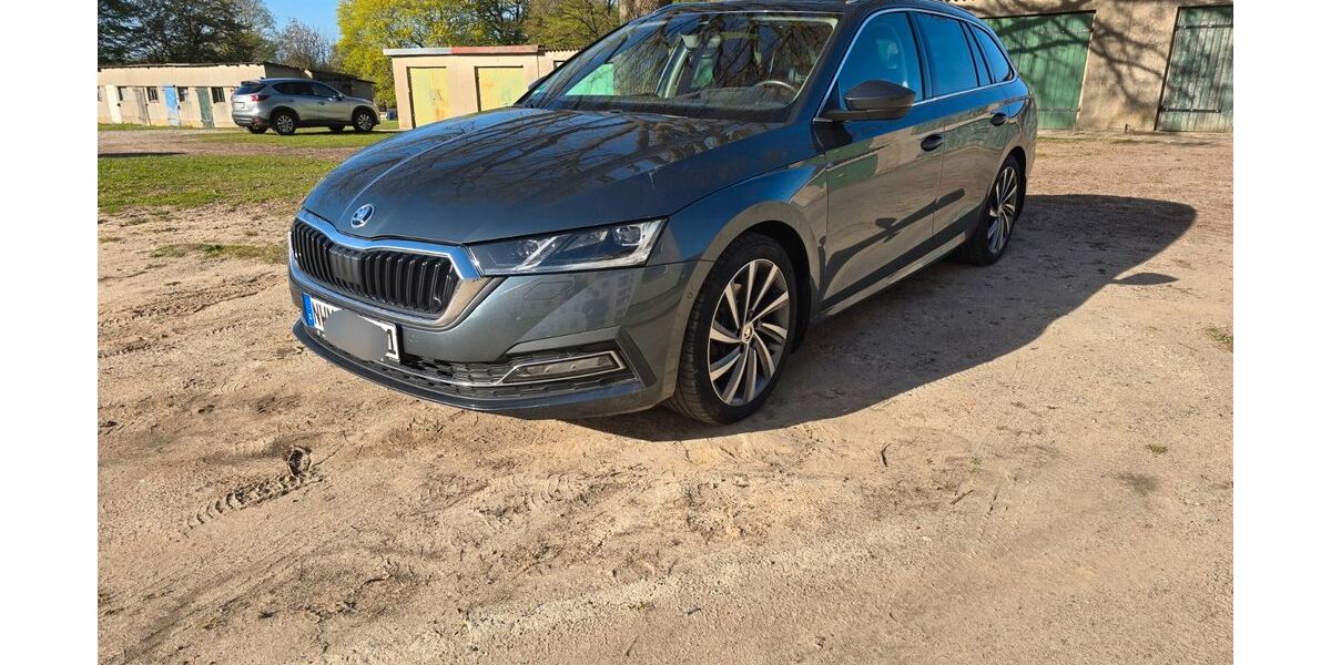 Skoda Octavia 117.000 km 21.400 &euro; Dechow 19217