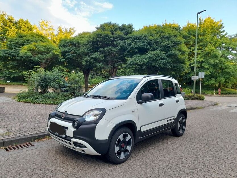 Panda