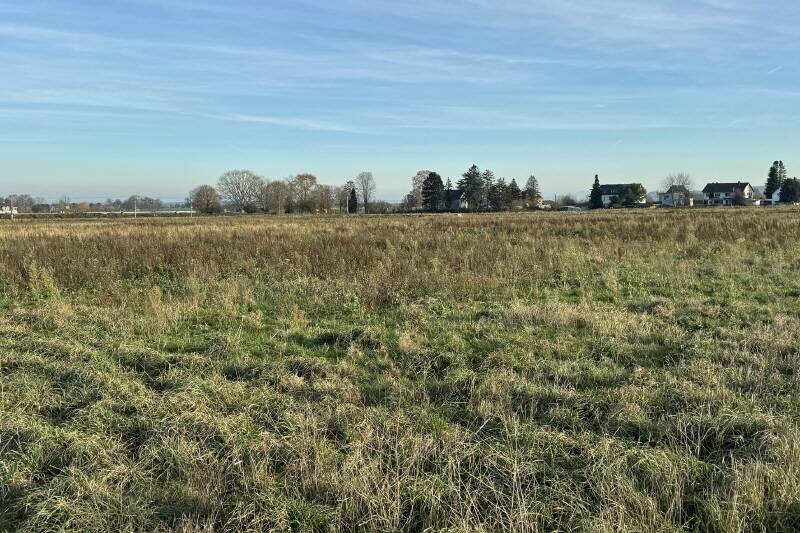 Merten: Baugrundstück für Doppelhaushälfte zimmer