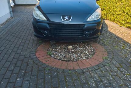 Peugeot 307 185.753 km 1.750 &euro; Westergellersen 21394