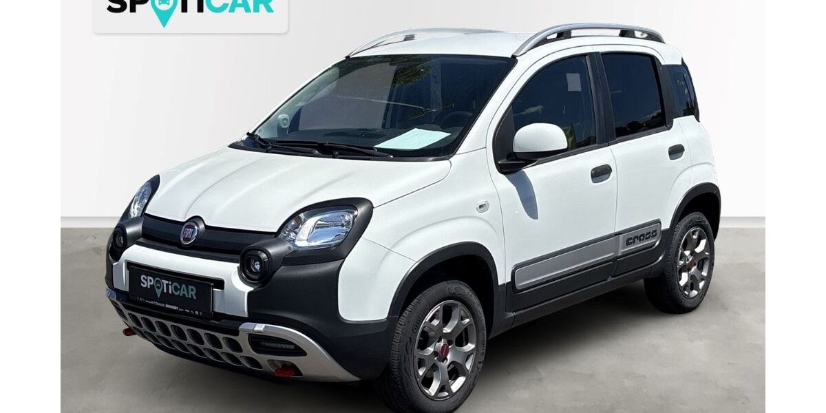 Fiat Panda 67.900 km 10.990 &euro; Zweibrücken 66482