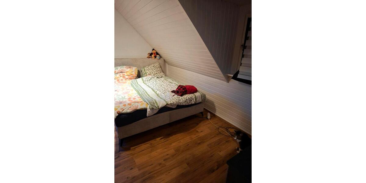 Dachgeschoßwohnung Leimen - 2 Zimmer, 40 m&sup2;, 800&euro; | Angebot:25239765